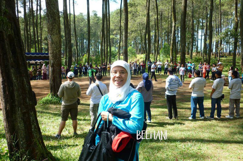 √Serunya Wisata Petualangan di Hutan Pinus Lembang