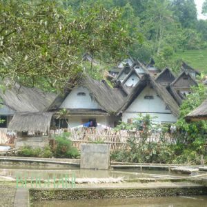 adopsi hutan kampung-naga