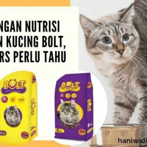 kandungan nutrisi makanan kucing BOLT