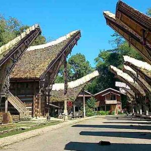 Wisata Toraja Terbaru Berwisata Sambil Belajar Kearifan Lokal